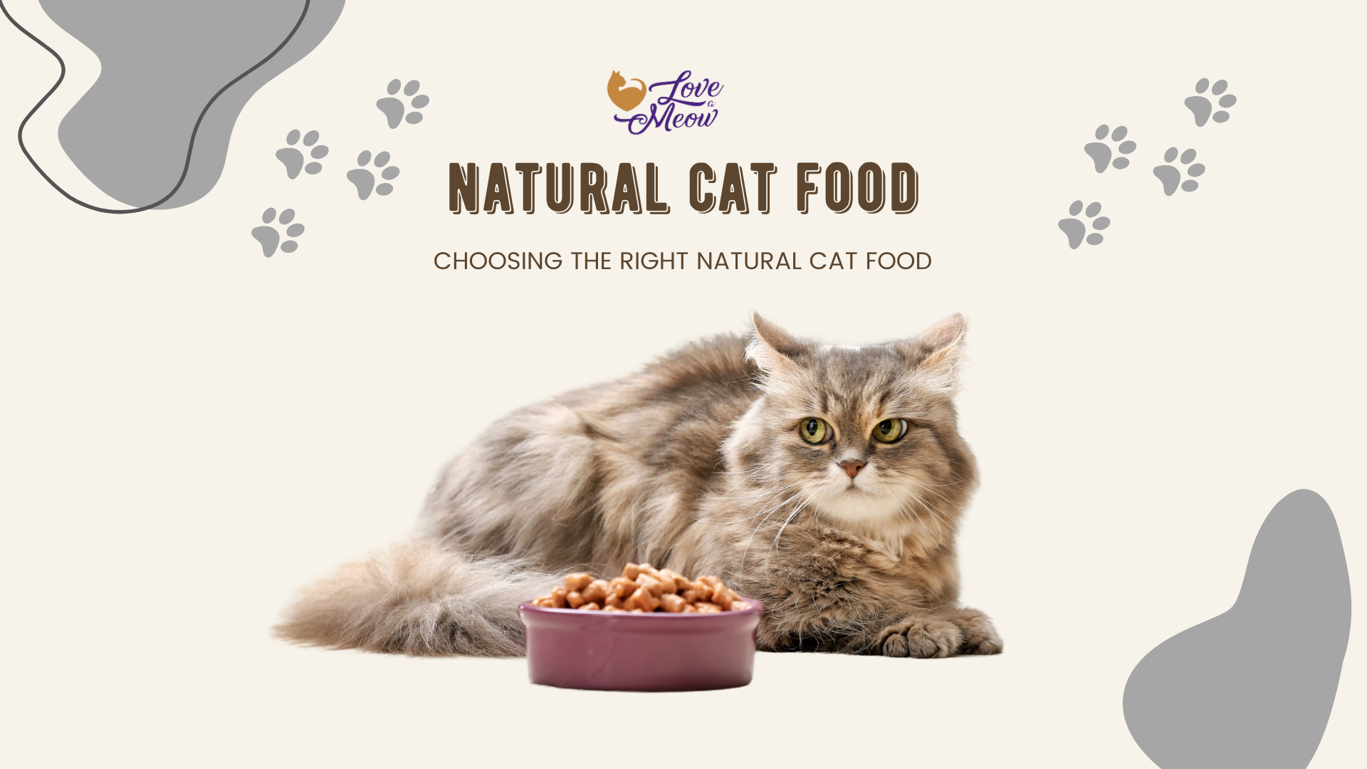 Natural Cat Food